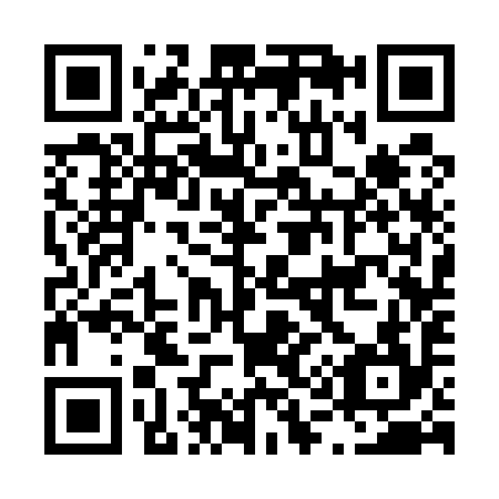 QR code for L13594