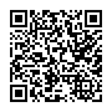 QR code for L15991