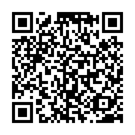 QR code for L16229