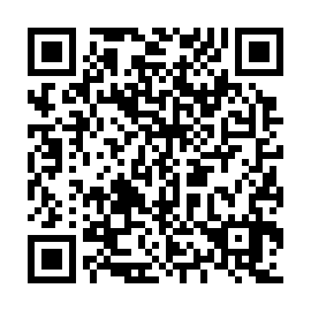 QR code for L16337