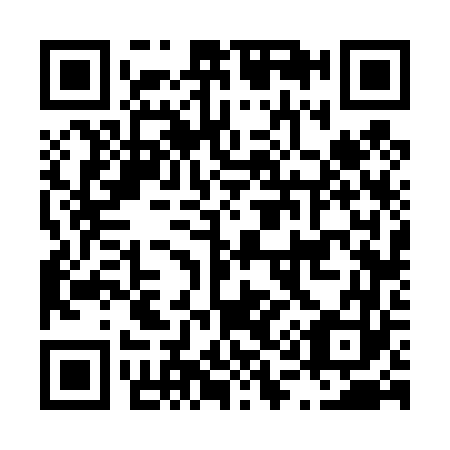 QR code for L16463