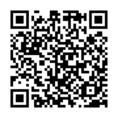 QR code for L16580