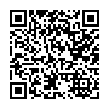 QR code for L16911