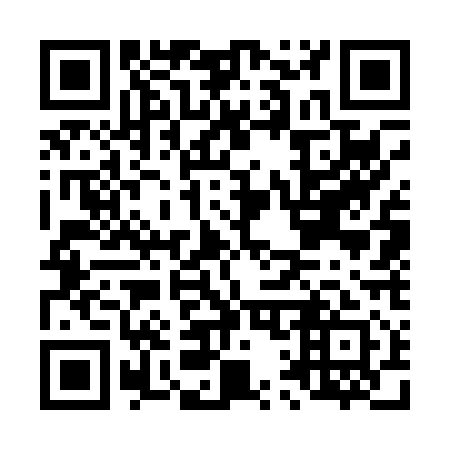 QR code for L17011