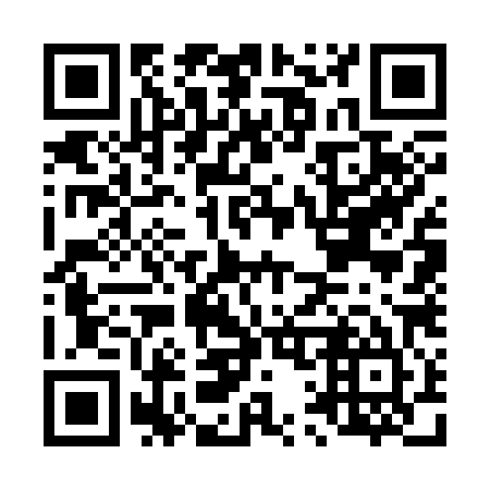 QR code for L17385