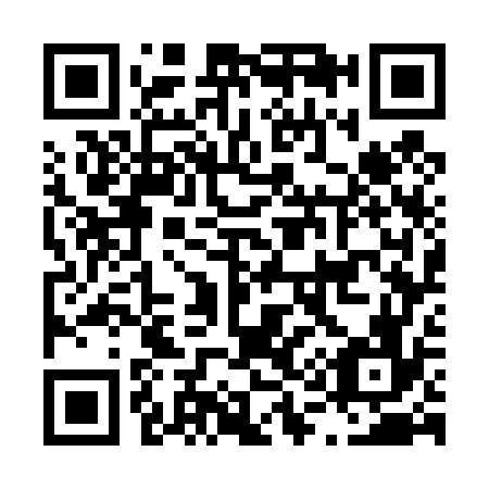 QR code for L17476