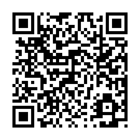 QR code for L17486