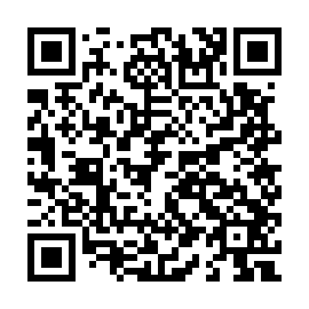 QR code for L17542