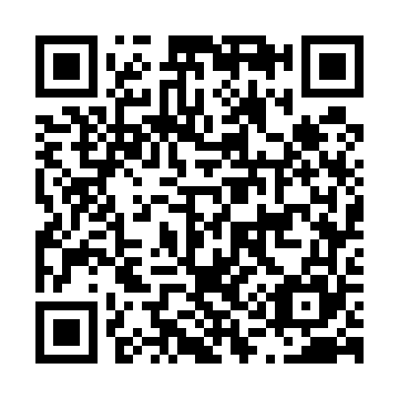 QR code for L17565