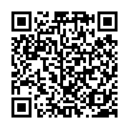QR code for L17631