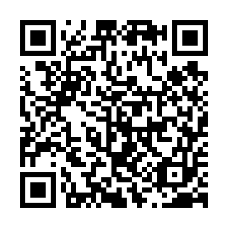 QR code for L17653