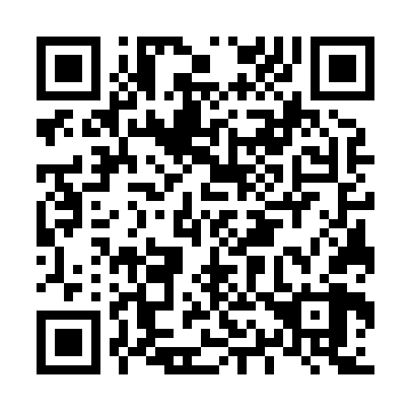 QR code for L17868