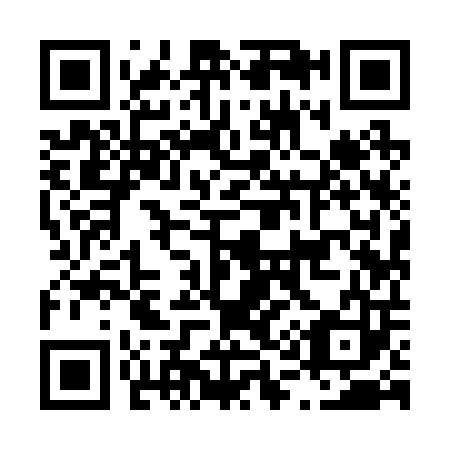 QR code for L19203