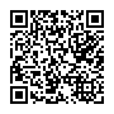 QR code for L19378
