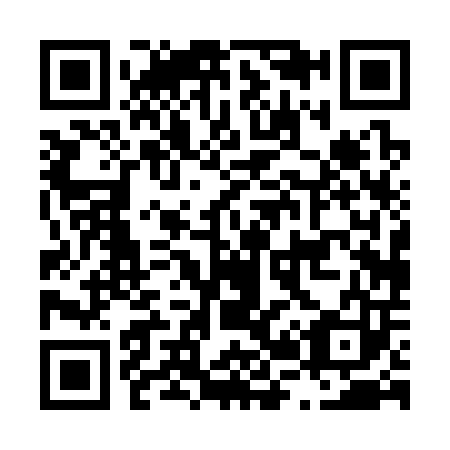 QR code for L20303