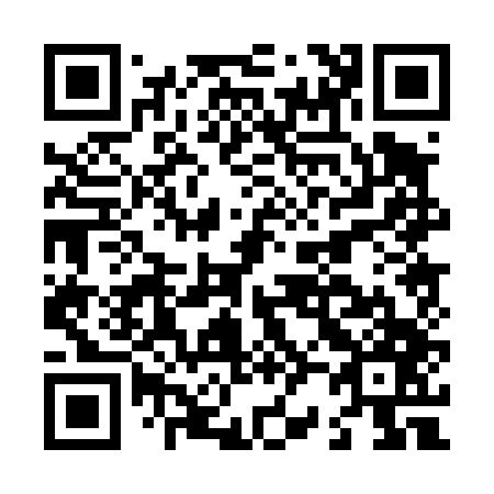 QR code for L20447