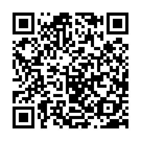 QR code for L20509