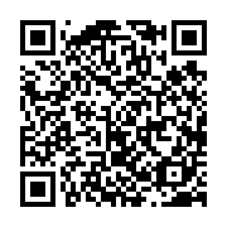 QR code for L20600