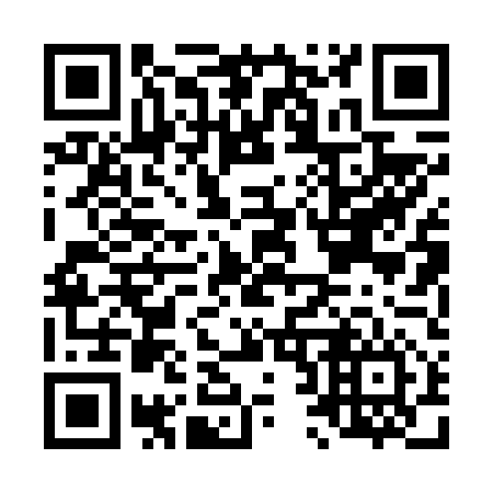 QR code for L20656