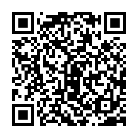 QR code for L20833