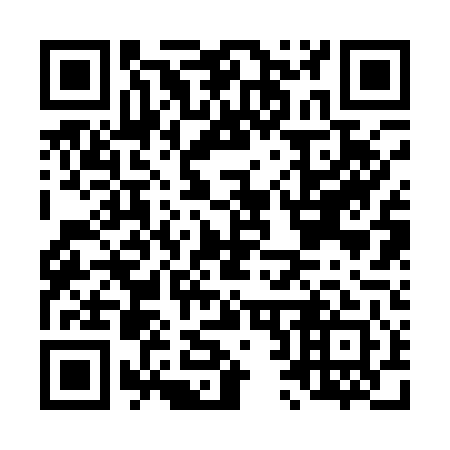 QR code for L22141