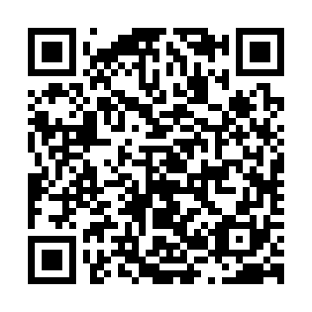QR code for L22370