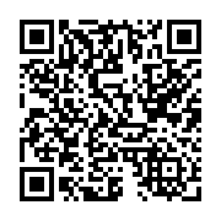 QR code for L22911