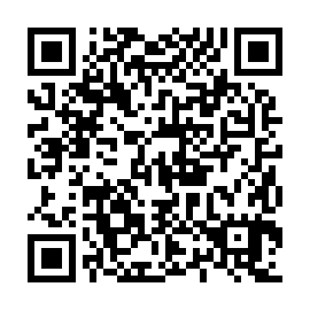 QR code for L22985