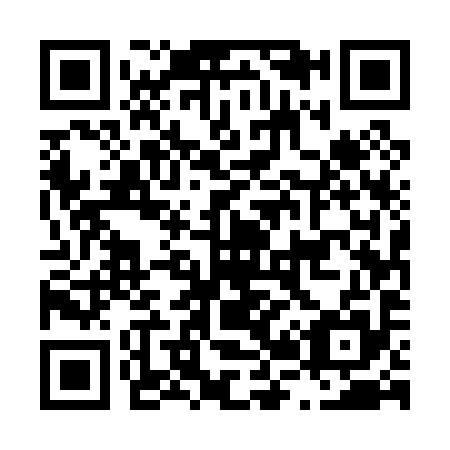 QR code for L25095