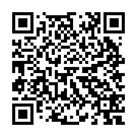 QR code for L25228