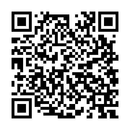 QR code for L26161