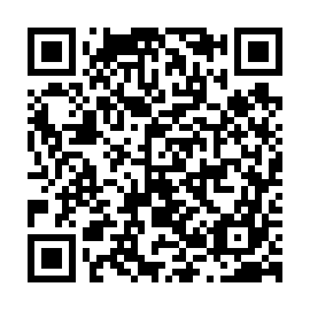 QR code for L27667