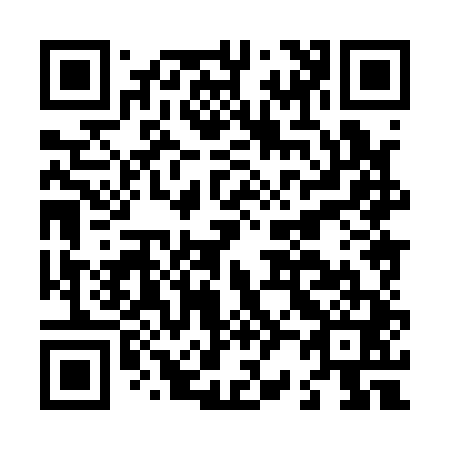 QR code for L28141