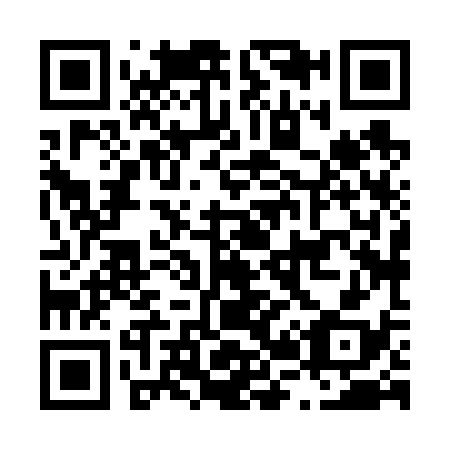 QR code for L28638