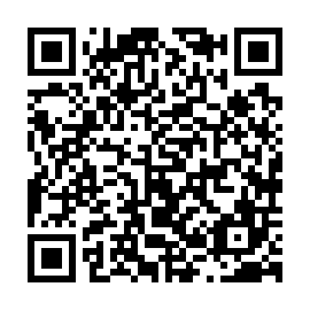 QR code for L28706