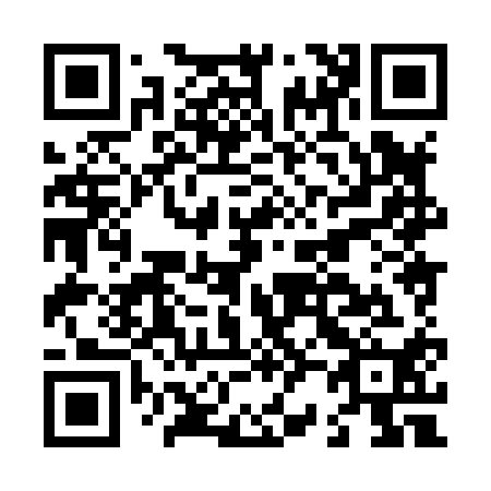 QR code for L28810