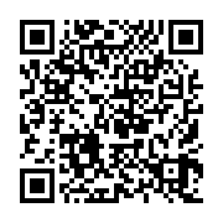 QR code for L29009