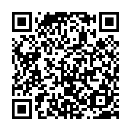 QR code for L29022