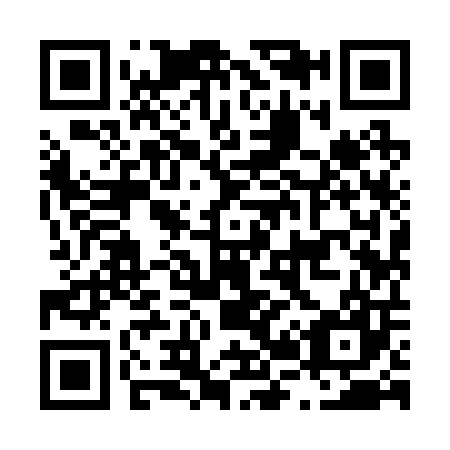 QR code for L29207