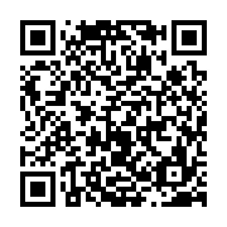 QR code for L29336