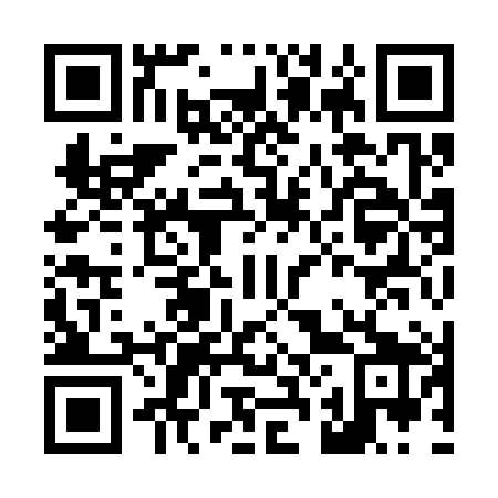 QR code for L29389