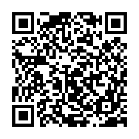 QR code for L29456