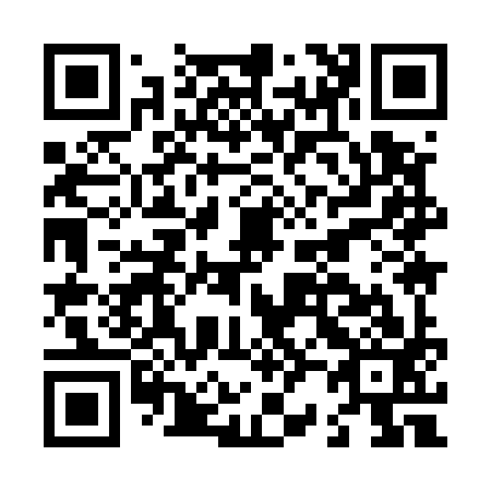 QR code for L29593