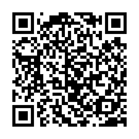 QR code for L29608