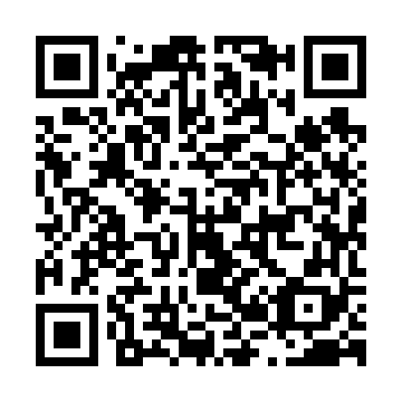 QR code for L29668