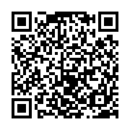 QR code for L29717