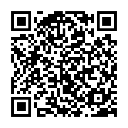 QR code for L29735