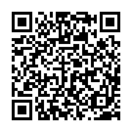 QR code for L30393