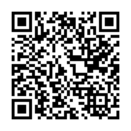 QR code for L31101