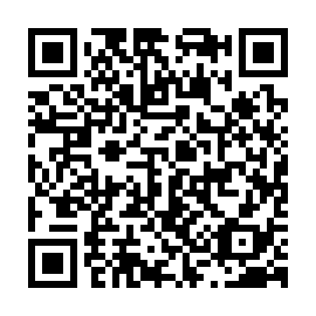 QR code for L31338